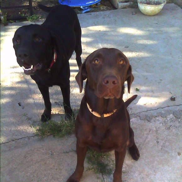 Meet your Posher, Ludmila - Picture 1 of 1